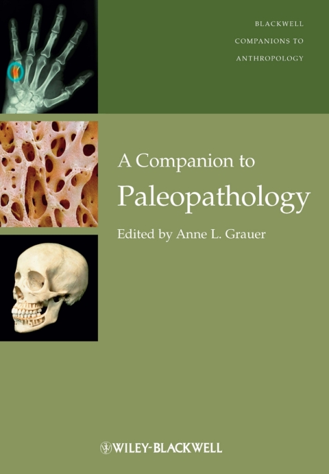 Cover image for book A Companion to Paleopathology