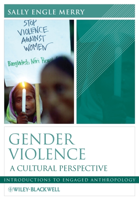 Cover image for book Gender Violence