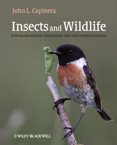 Cover image for book Insects and Wildlife