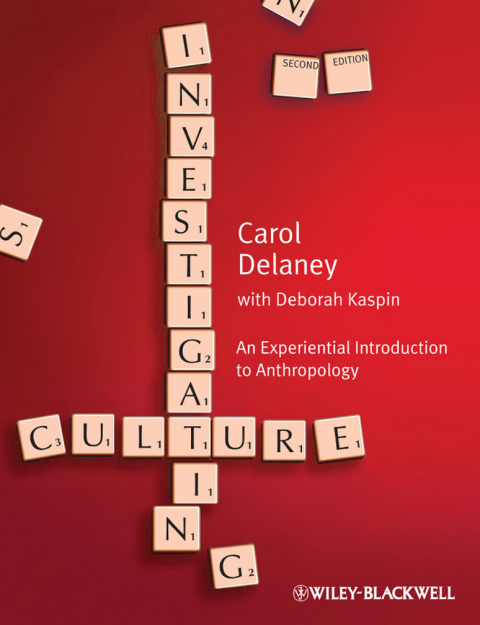 Cover image for book Investigating Culture