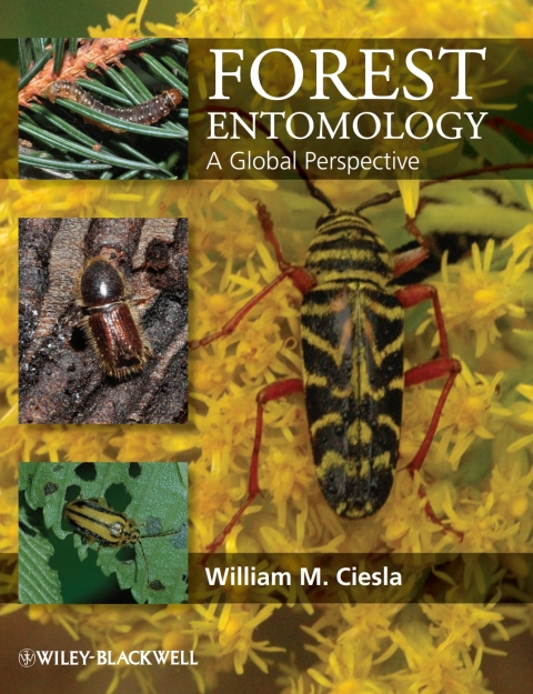 Cover image for book Forest Entomology