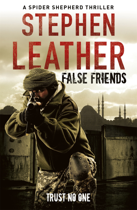 Cover image for book False Friends