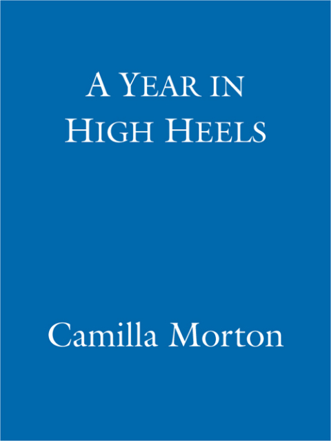 Cover image for book A Year in High Heels