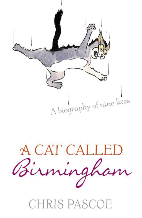Cover image for book A Cat Called Birmingham