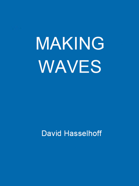 Cover image for book Making Waves