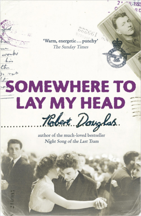 Cover image for book Somewhere To Lay My Head