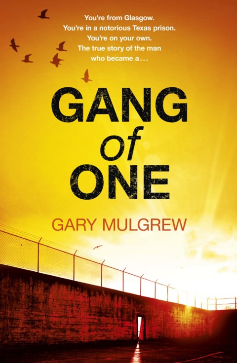 Cover image for book Gang of One: One Man's Incredible Battle to Find his Missing Daughter