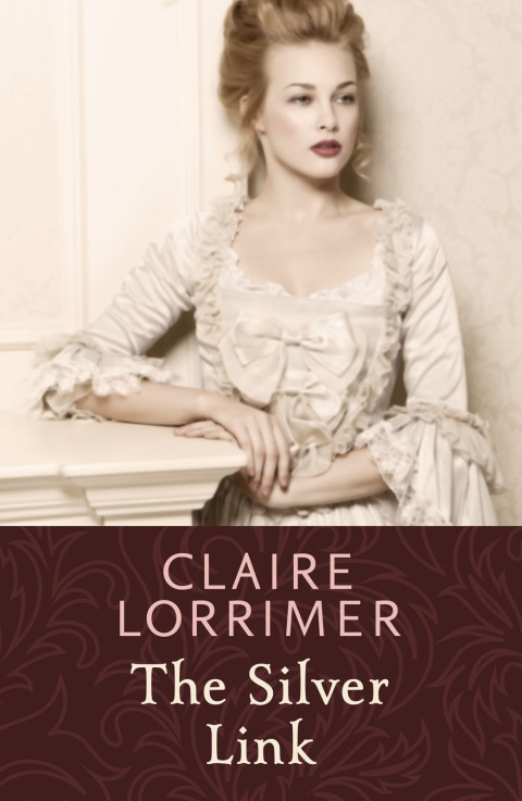 Cover image for book The Silver Link