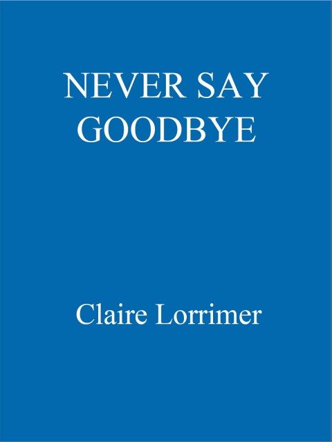Cover image for book Never Say Goodbye