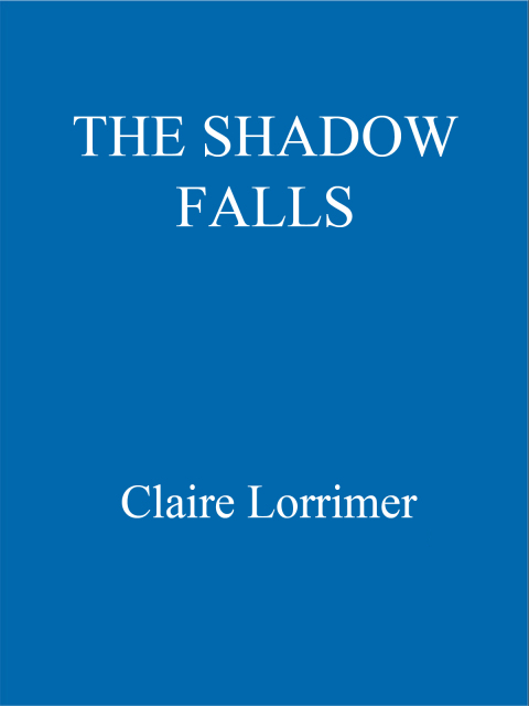 Cover image for book The Shadow Falls