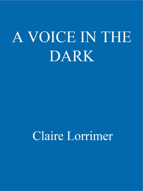 Cover image for book A Voice in the Dark