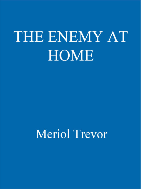 Cover image for book The Enemy At Home
