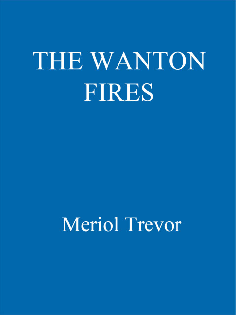 Cover image for book The Wanton Fires
