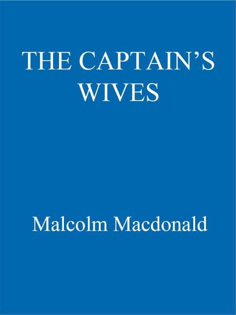 Cover image for book The Captain's Wives