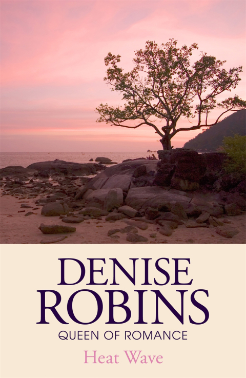 Cover image for book Heat Wave