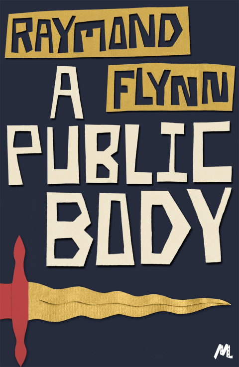 Cover image for book A Public Body