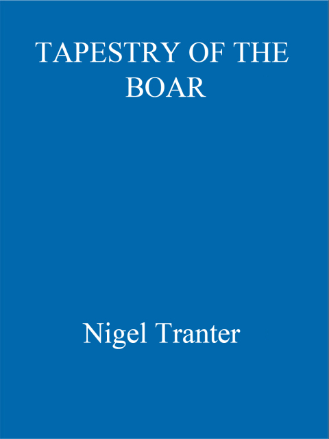Cover image for book Tapestry of the Boar