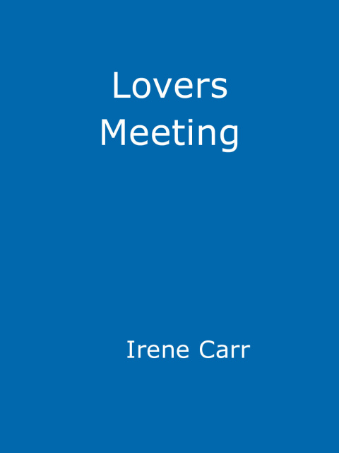 Cover image for book Lovers Meeting