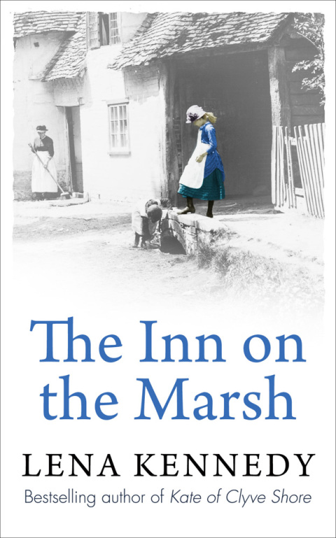 Cover image for book The Inn On The Marsh
