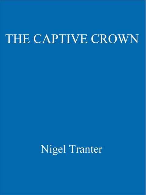 Cover image for book The Captive Crown