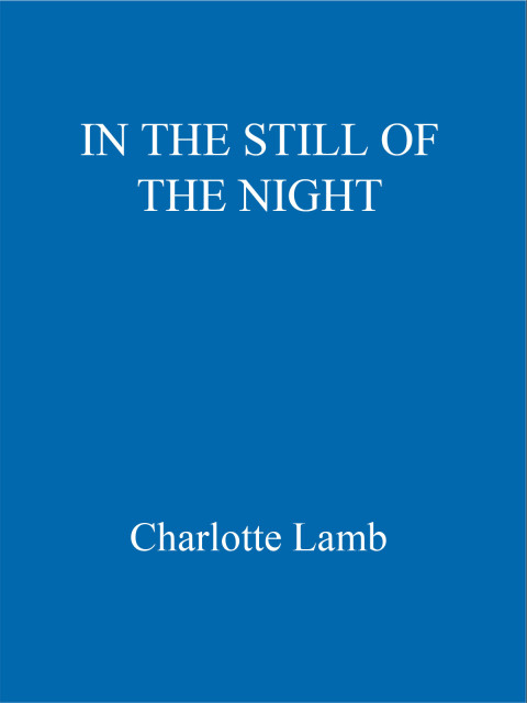 Cover image for book In the Still of the Night