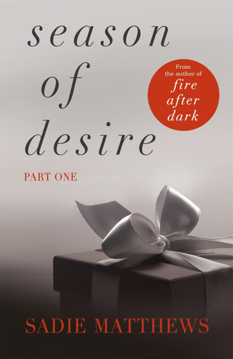 Cover image for book A Lesson in the Storm