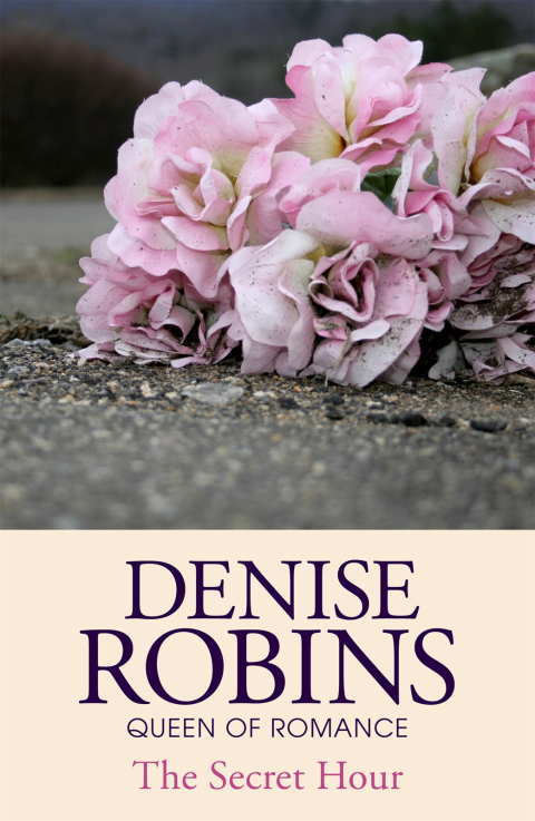 Cover image for book The Secret Hour