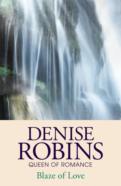 Cover image for book Blaze of Love