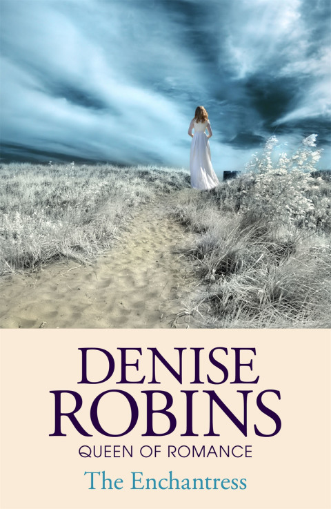 Cover image for book The Enchantress