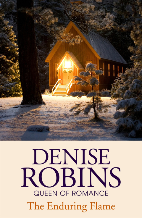 Cover image for book The Enduring Flame