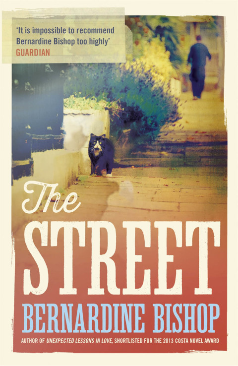 Cover image for book The Street
