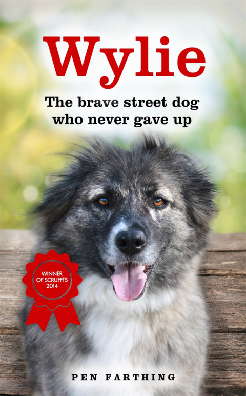 Cover image for book Wylie