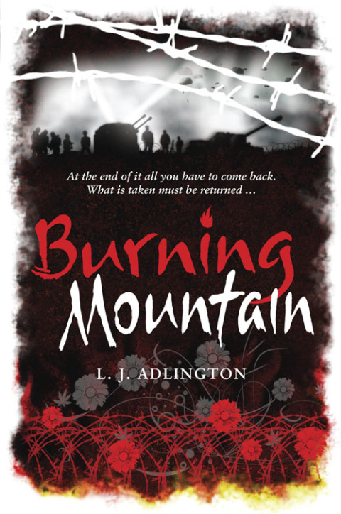 Cover image for book The Burning Mountain