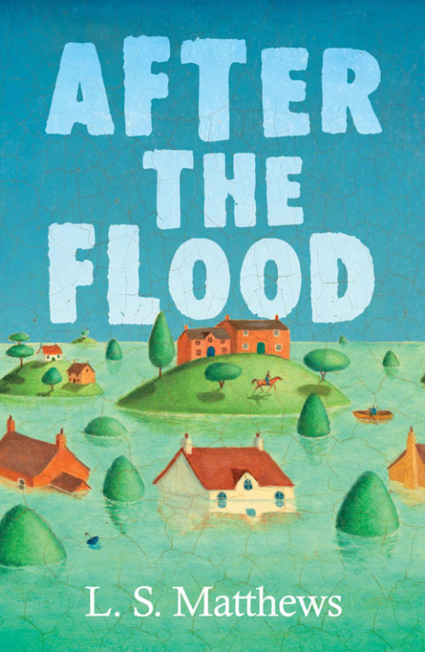 Cover image for book After The Flood