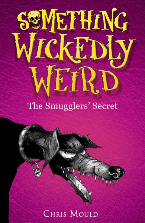 Cover image for book The Smugglers' Secret