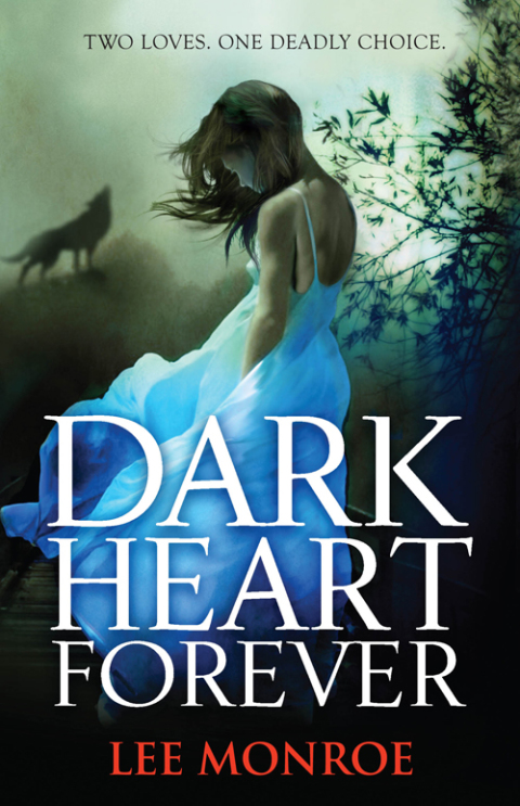 Cover image for book Dark Heart Forever