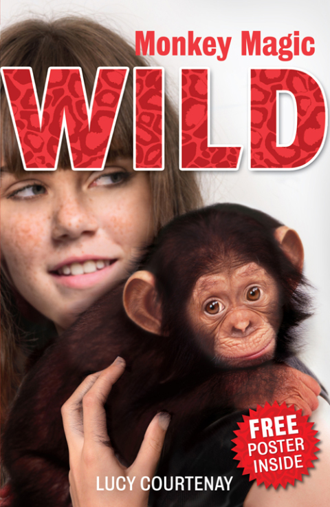 Cover image for book 2: Monkey Magic