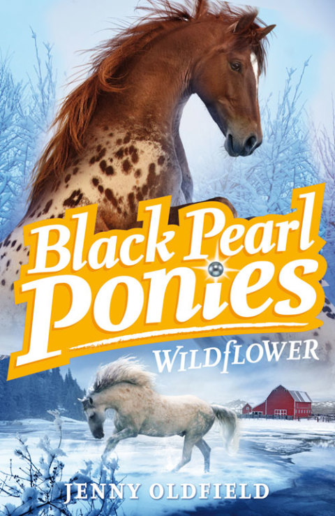Cover image for book Wildflower