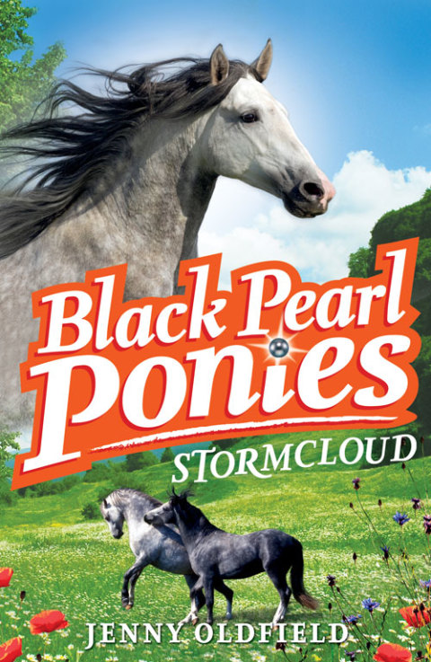 Cover image for book Stormcloud