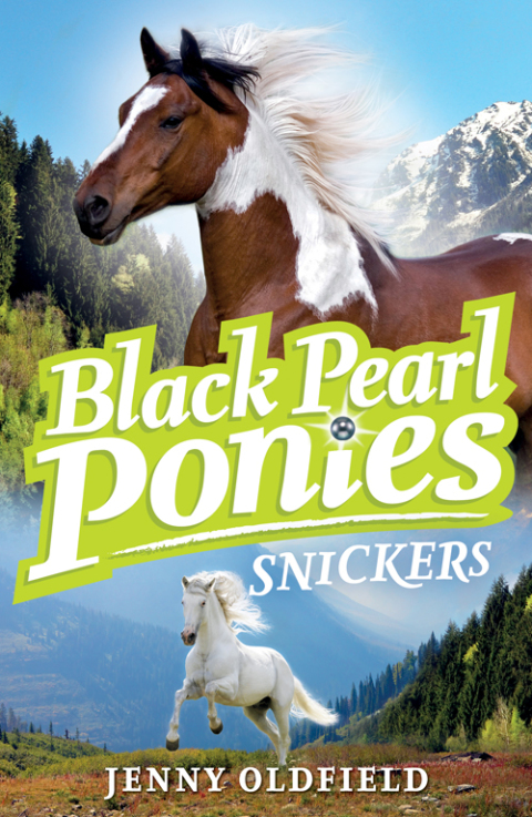 Cover image for book Snickers