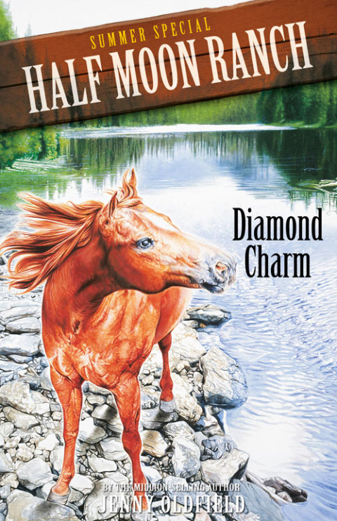 Cover image for book Summer Special: Diamond Charm