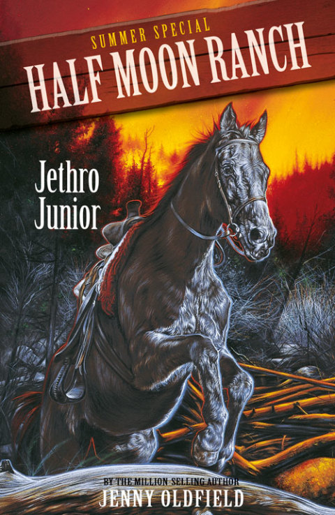 Cover image for book Summer Special