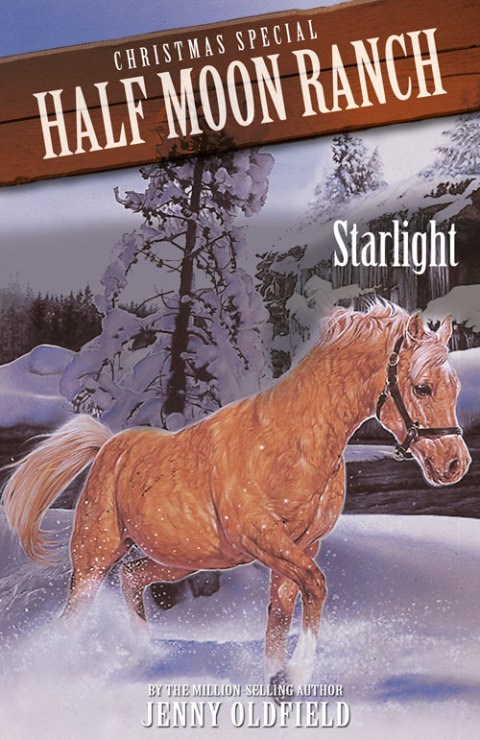 Cover image for book Christmas Special: Starlight