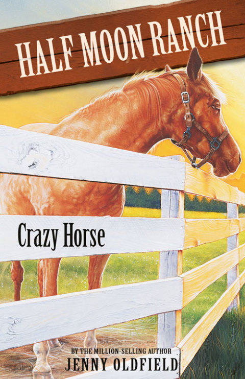 Cover image for book Crazy Horse