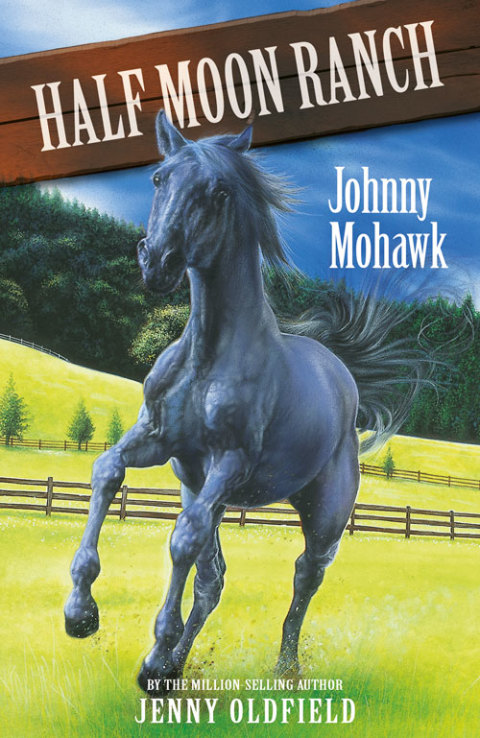 Cover image for book Johnny Mohawk