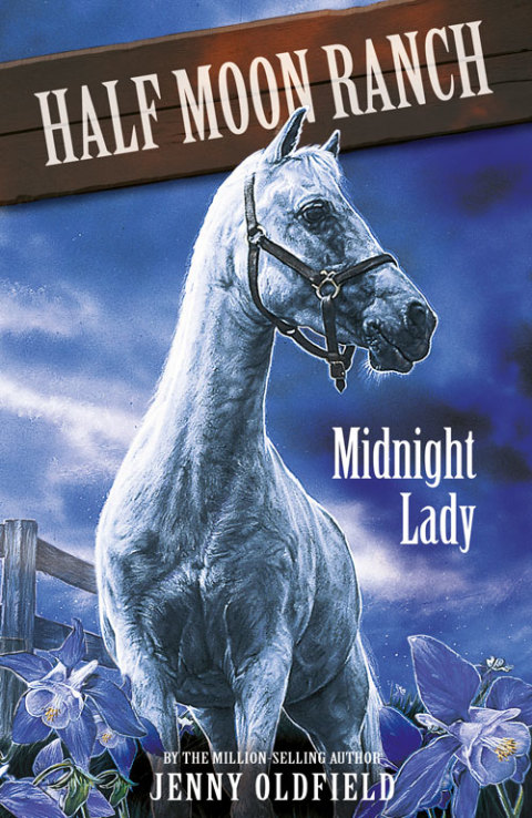 Cover image for book Midnight Lady