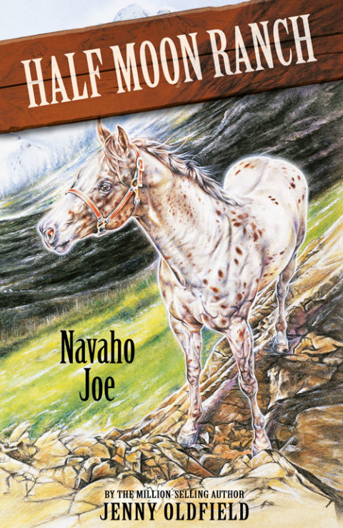 Cover image for book Navaho Joe