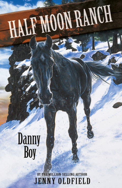 Cover image for book Danny Boy