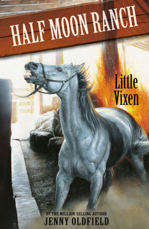Cover image for book Little Vixen