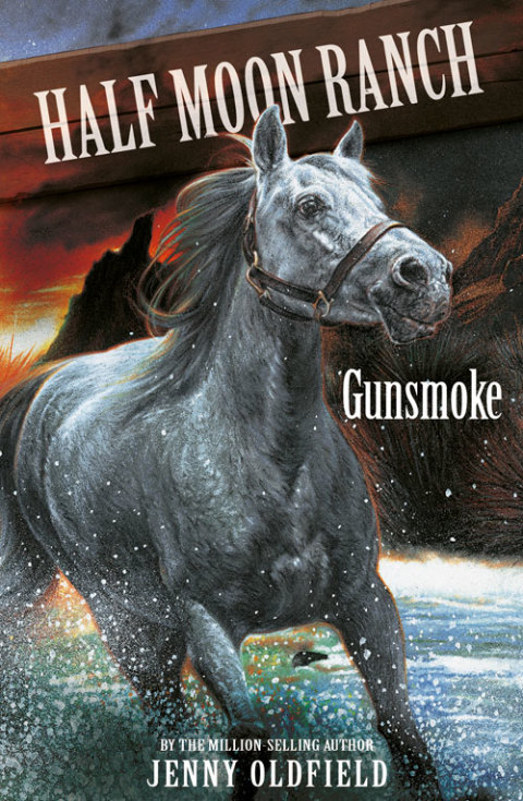 Cover image for book Gunsmoke